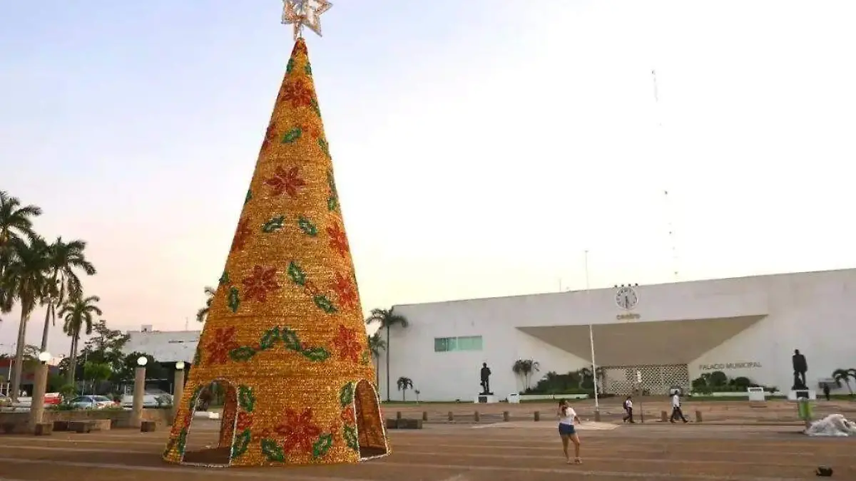 plaza revolucion arbol